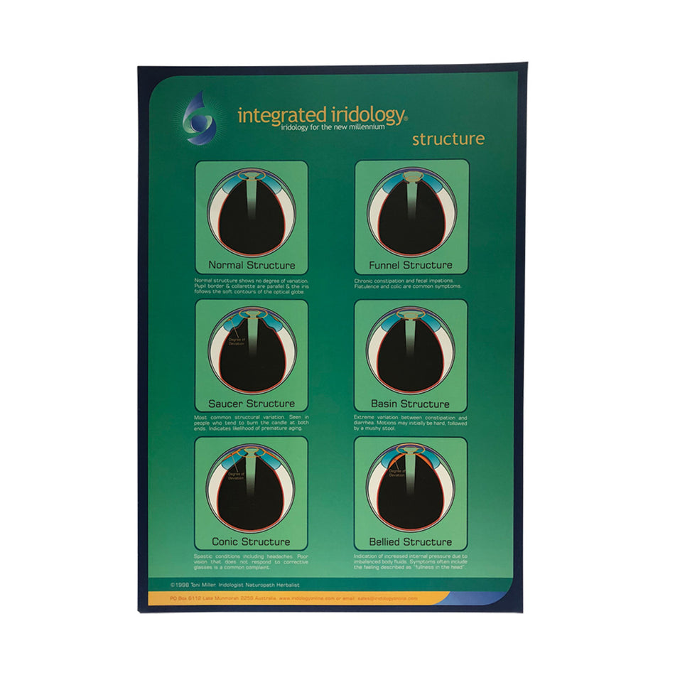 Integrated Iridology Poster Chart Structure