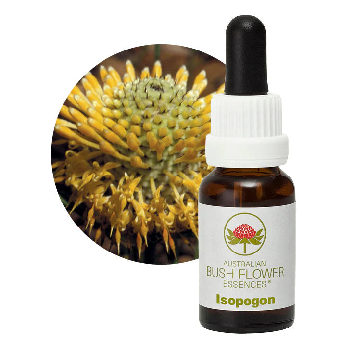 Australian Bush Flower Essences Isopogon 15ml
