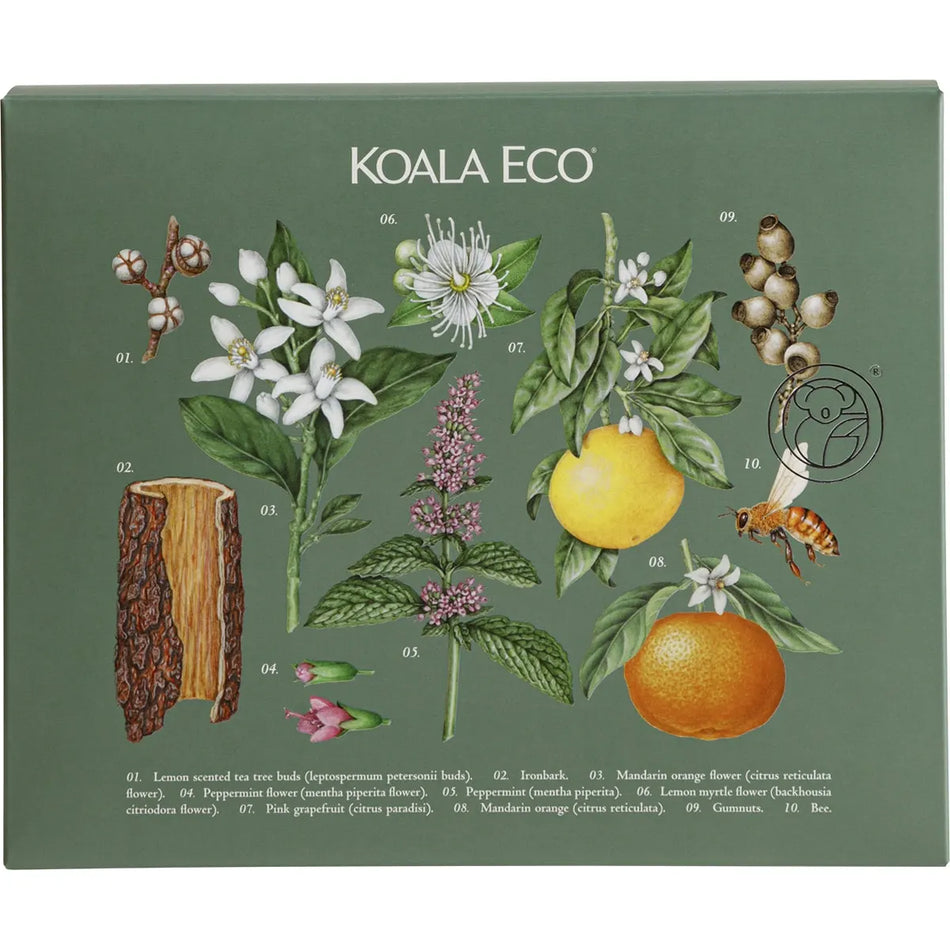 Koala Eco Gift Pack - Hand Wash, Laundry Wash & Dish Soap 3
