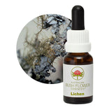 Australian Bush Flower Essences Lichen 15ml