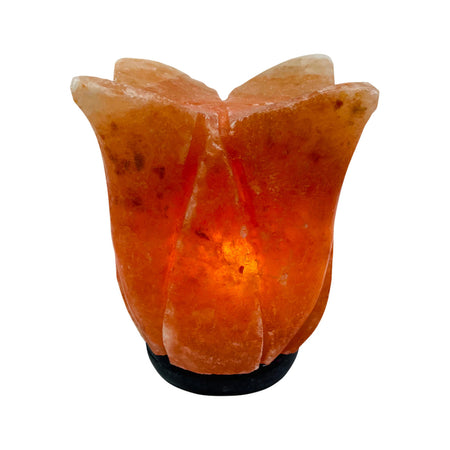 SaltCo Salt Crystal Lamp Lotus Onyx Base