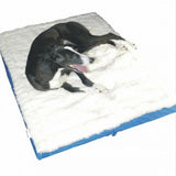 DICK WICKS MAGNETIC PET BED