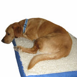 DICK WICKS MAGNETIC PET BED