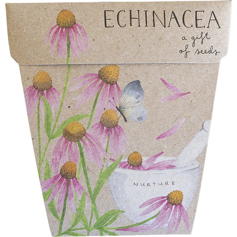 SOW 'N SOW Gift Of Seeds Echinacea 1