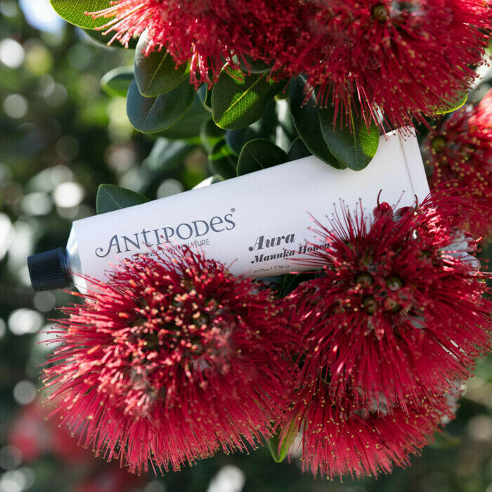 Antipodes Aura Manuka Honey Mask 15ml
